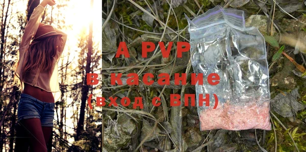 спайс Беломорск